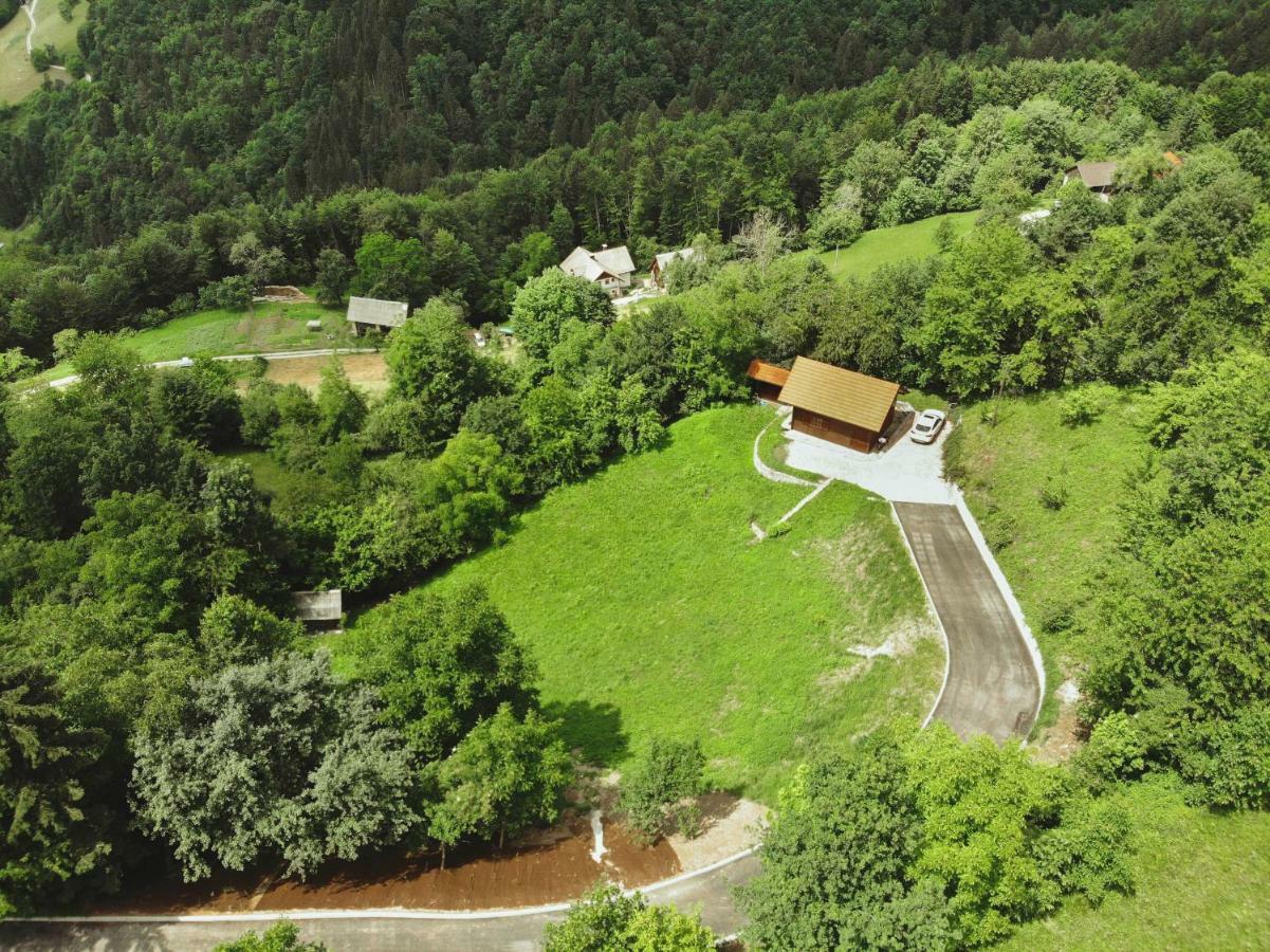 PluznjeLazec Country House别墅 外观 照片