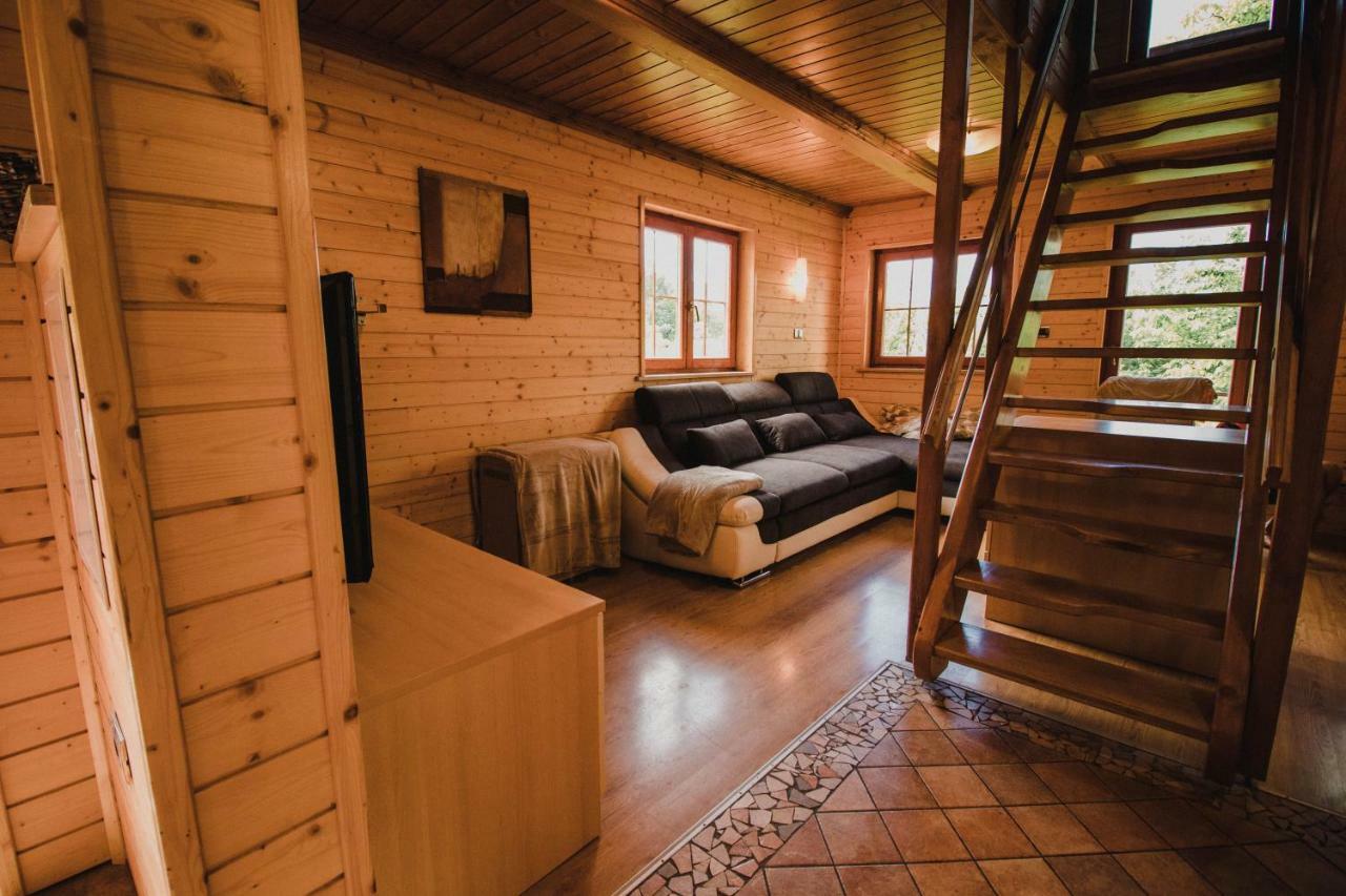 PluznjeLazec Country House别墅 外观 照片