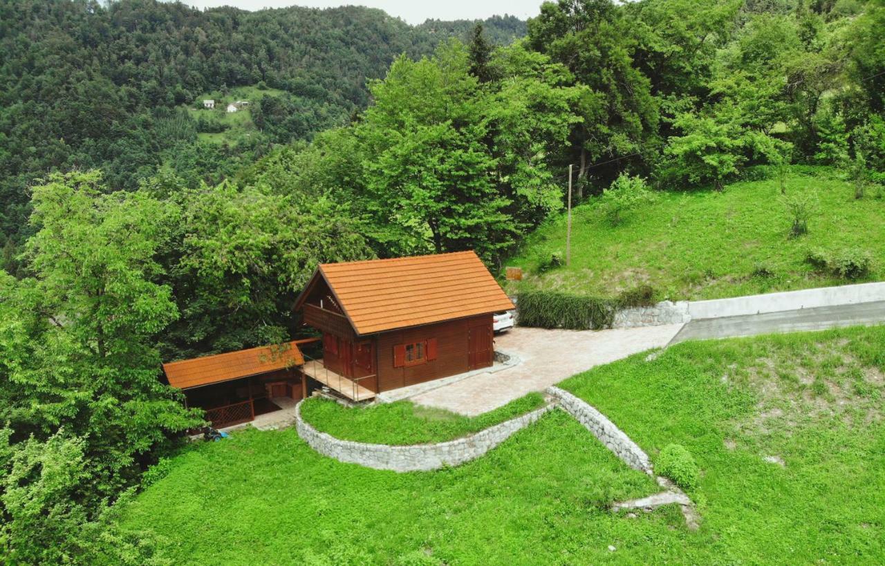 PluznjeLazec Country House别墅 外观 照片