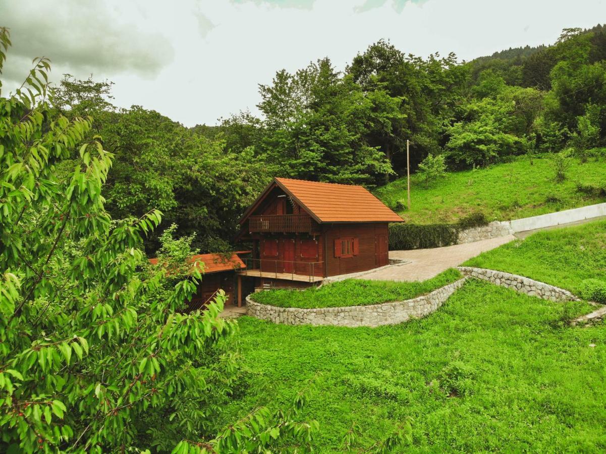 PluznjeLazec Country House别墅 外观 照片