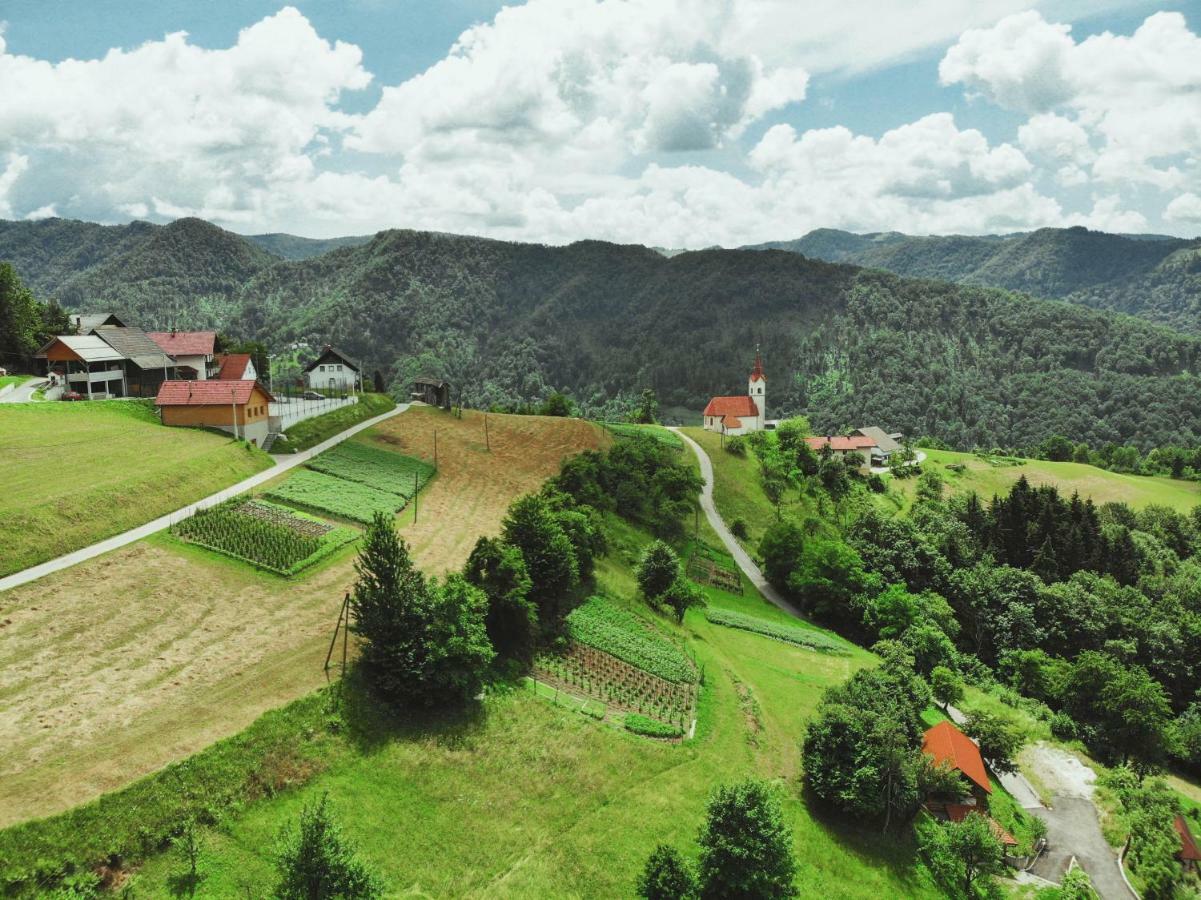 PluznjeLazec Country House别墅 外观 照片